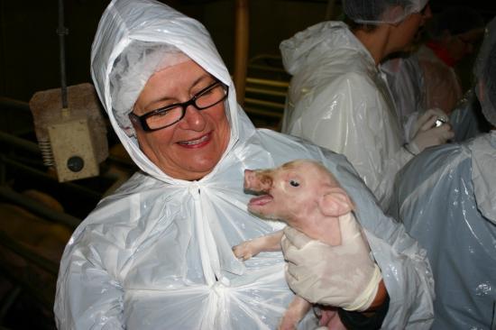 Brigitte et sa progéniture